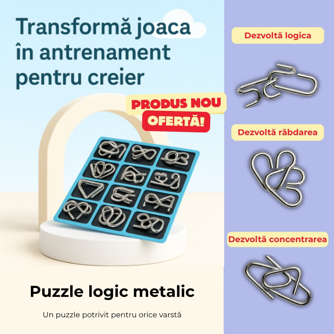 Puzzle-uri Logice Metalice